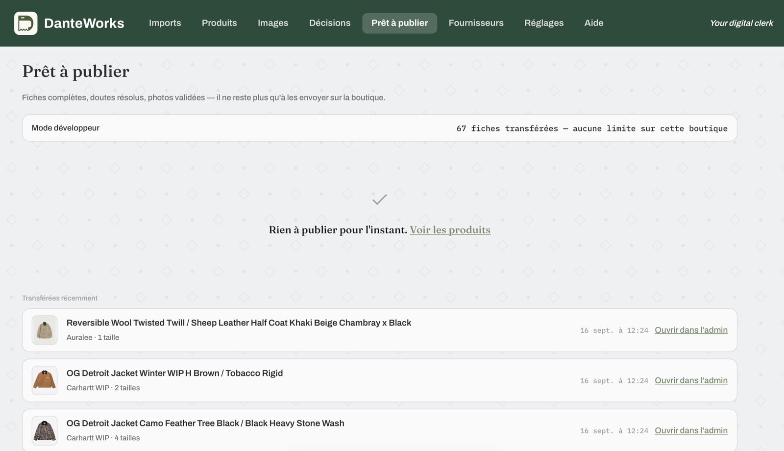 Ready to publish screen: products recently transferred to the store